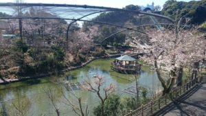 日本平動物園　フライングメガドーム
