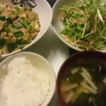 麻婆豆腐＋水菜のサラダ