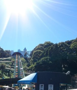 日本平動物園　ゴンドラ