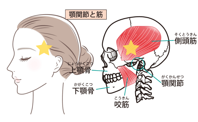顎関節症のセルフケア