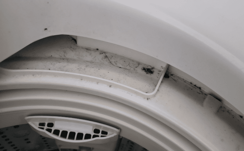 洗濯機の汚れ